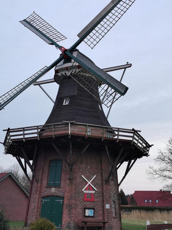 Kleinaberfein An Der Nordseekueste Schweindorf Extérieur photo